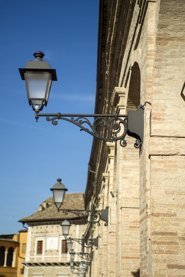 Come posso abituare un cucciolo di gatto di razza Japanese Bobtail al guinzaglio per passeggiate sicure?